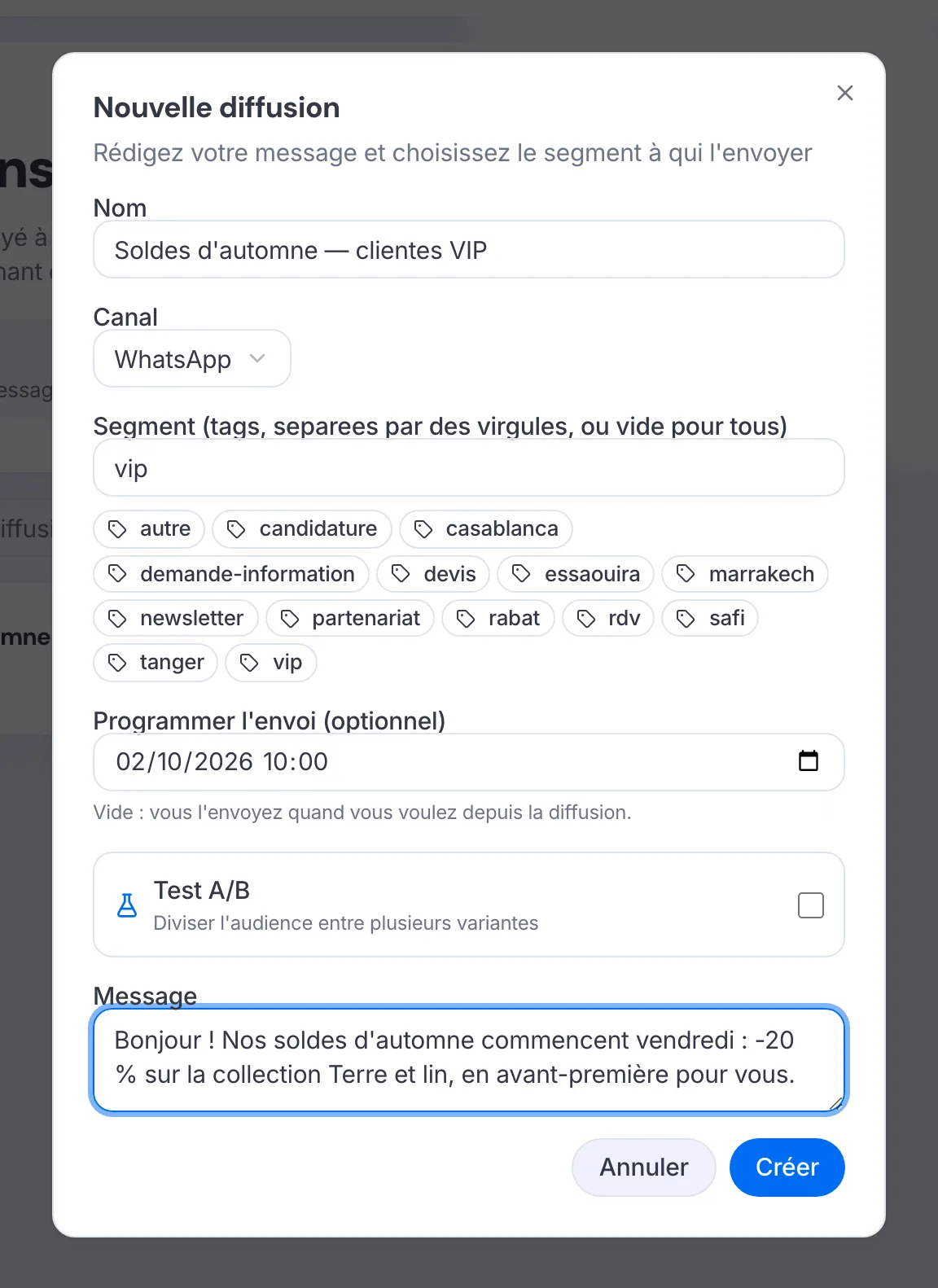La fenêtre « Nouvelle diffusion » avec le canal WhatsApp et le segment.